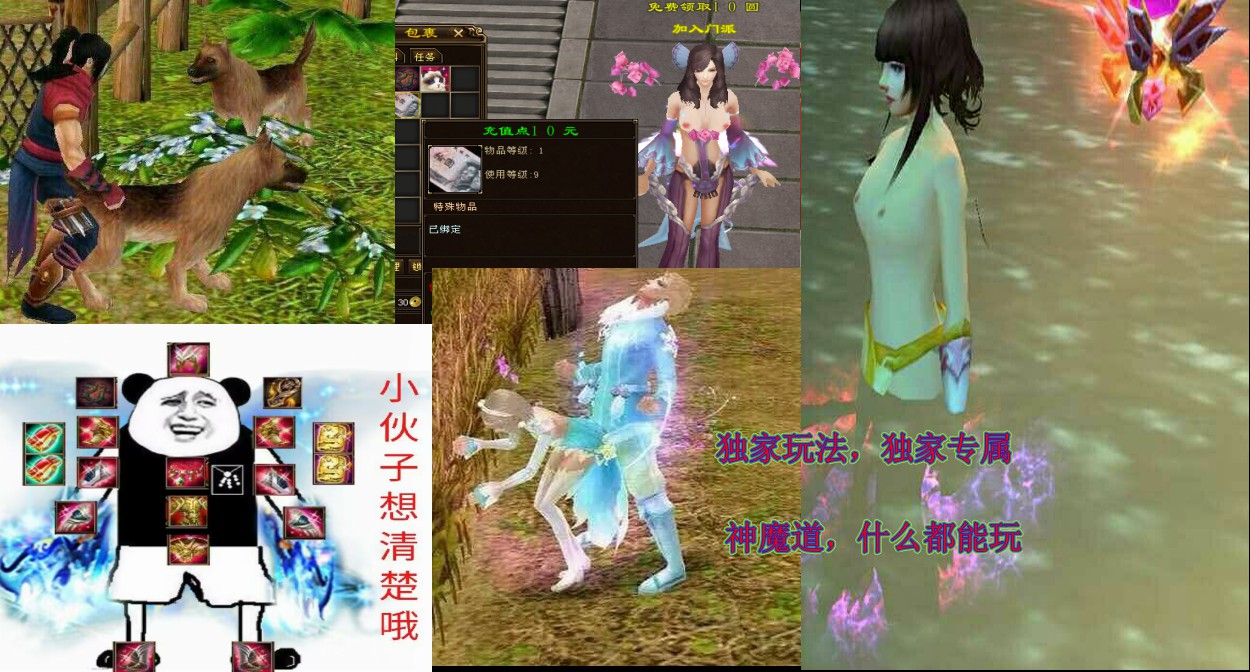 description 